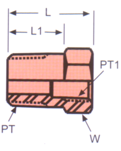 Stainless Steel Adapters, Male NPT To Female NPT, Bushing