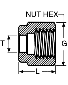 Stainless Steel Duolok Nuts
