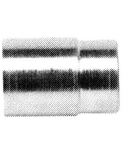 Stainless Steel Crimp Sockets For Use With SC Hose