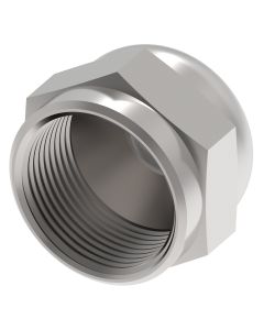 Steel JIC 37 deg Flare Cap, 2-1/2-12 Thread