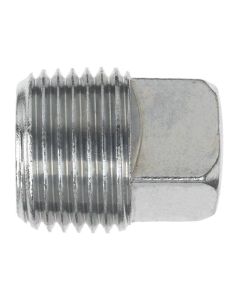 06 SQUARE HEAD PIPE PLUG