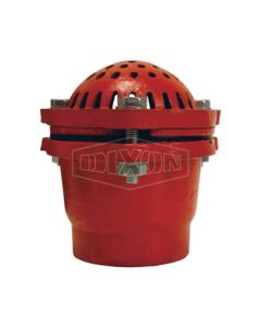 Foot Valve, 2 Painted Cast Iron Foot Valve NPT, 2 in Inch