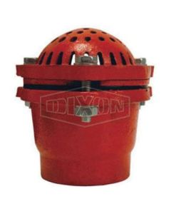 Foot Valve, 6 Painted Cast Iron Foot Valve NPT, 6 in Inch