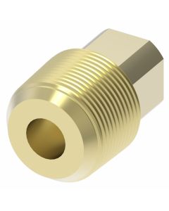 Brass 3/4" SQUARE HEAD Plug