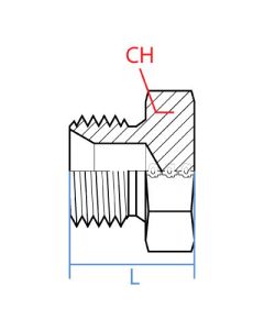 Bspp Hex Plug