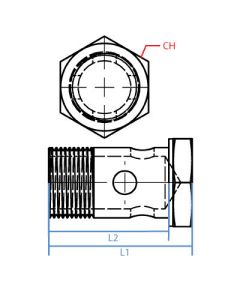 Metric Banjo Bolt M18X1.50