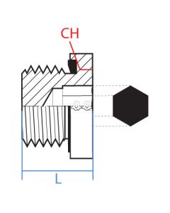 Brass Hex Skt Bspp Sealed Plug
