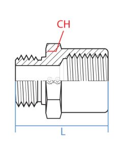 Brass M.Bspp X F.Bspp Bushing