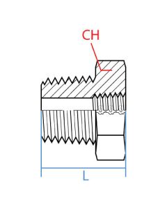 Male Bspt-Female Bspt Bushing