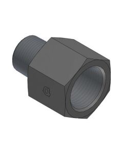 Male Npt X Fixed Female Bspp