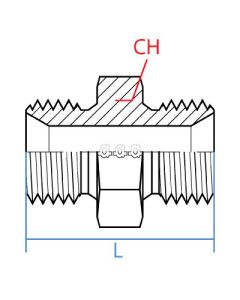 Male Bspp X Male Metric