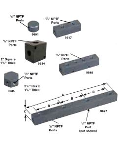Remote & Pump Mounted Manifolds