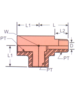Stainless Steel Adapters, Male NPT Run To Female NPT Run & Branch, Tee