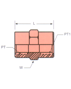 Stainless Steel Adapters, Female NPT To Female NPT, Straight