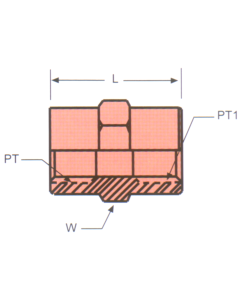Stainless Steel Adapter, 3/8-18 Female NPT To 3/8-18 Female NPT, Straight