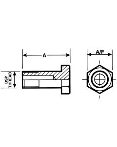 BSP Banjo Bolt, 1/4-19 BSP, 0.69 Inch Hex