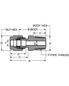 Stainless Steel Duolok Tube Fitting, 0.25 Inch Tube OD To 1/4-18 Male NPT, Straight
