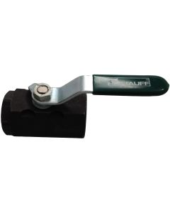 2BVM Series Steel Barstock Body Ball Valve, 1/2 NPT Ports, 0.55 Inch Orifice, 15.0000 CV Rating