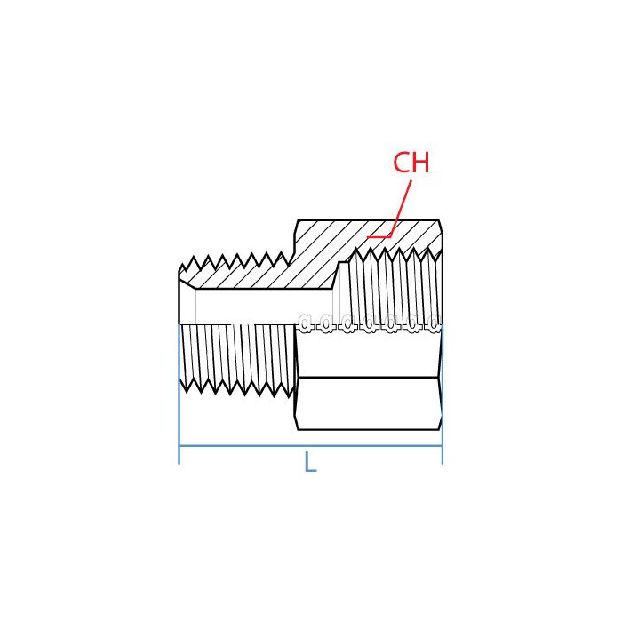 Adaptall Stainless Male Npt X Fem Bspp SS90373232