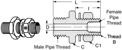 Brass Adapters, Male NPT To Female NPT, Straight Bulkhead