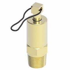 Danfoss / Eaton Brass AIR TANK Valve With LANYA