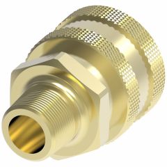 Cplng ST SeriesSocket Brass