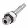 EW Male O-Ring BOSS