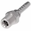 EW NPT Male Pipe