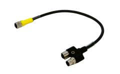 CAN Cable Cable Assembly SR-CBL-0.3-Y-CAN CABLE Y CAN 0.3M | FT10424-01