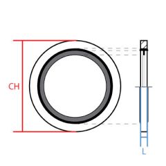 Bonded Seal For British Thread