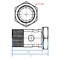 Metric Banjo Bolt X 27 Mm Long