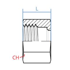 Din2353 Series Ll Tube Nut