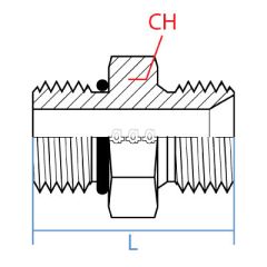 Male Sae O-Ring Boss-Male Bspp