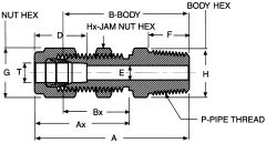 Stainless Steel Duolok Tube Fitting, 0.25 Inch Tube OD To 1/4-18 Male NPT, Straight Bulkhead