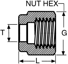 Stainless Steel Duolok Tube Fitting, 0.38 Inch Tube OD Nut