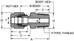 Stainless Steel Duolok Tube Fitting, 0.38 Inch Tube OD To 3/8-18 Male NPT, Straight