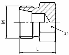 Steel Metric Flareless Fitting, 16.00 mm S Series Tube Plug, M 24x1.5