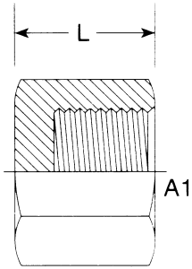 Steel Female NPT Caps