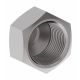 Brass Adapter, 1/8-27 Female NPT Cap, 0.50 Inch Long