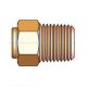 Brass Push-In Tube Fitting, 0.13 Tube OD to 1/16 Male NPT, Straight