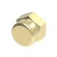 Brass Adapter, 1/8-27 Female NPT Cap, 0.50 Inch Long