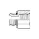 Steel Adapter, 3/4-14 Male BSPP (British Parallel) To 3/4-14 Female NPT, Straight