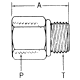 Steel Adapter, 1-11-1/2 Female NPT To 1-7/8-12 Male SAE O-Ring Boss (Straight Thread O-Ring), Straight