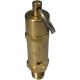 Standard Duty Brass Safety Pop-Off Valve, 1/4 NPT Port, 125.00 Pre-Set Pressure, 78 SCFM Capacity