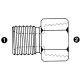 Steel Adapter, 1/2-14 Male BSPP (British Parallel) To 1/2-14 Female NPT, Straight
