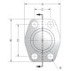 SAE 4-Bolt Flange Steel Adapter, 2.00 Inch Code 62 Flange Shipping Plate