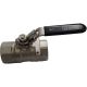 2BVM Series Stainless Steel Hex Body Ball Valve, 1 NPT Ports, Reduced Bore
