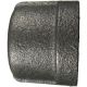 Malleable Iron Pipe Fitting, 2 Inch Cap