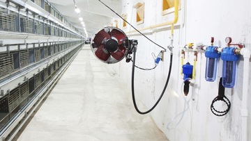 Industrial poultry farm equipment with ventilation fan, water filtration system, and feed cages