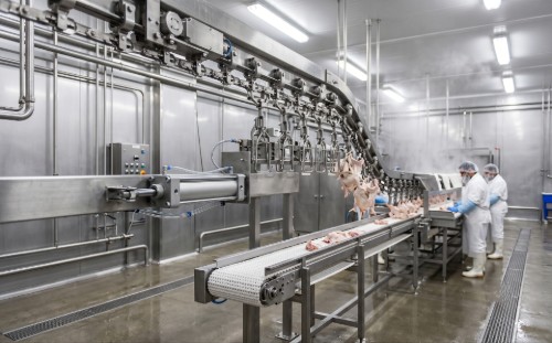 Modern poultry processing facility with stainless steel conveyor equipment and pneumatic actuators